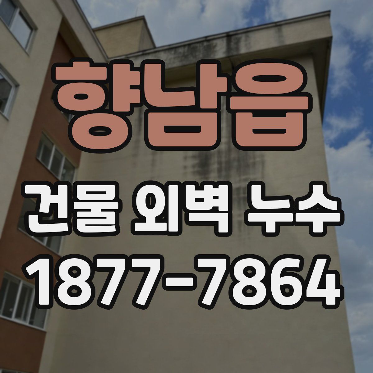 향남읍 건물 외벽 누수