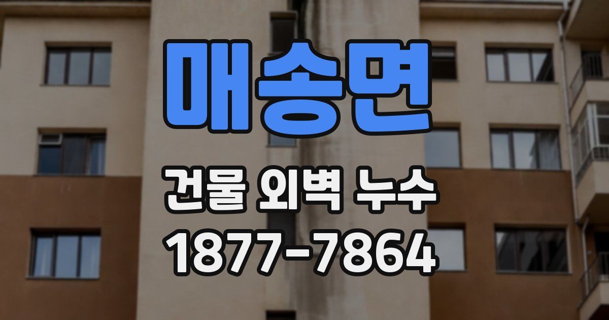 매송면 건물 외벽 누수