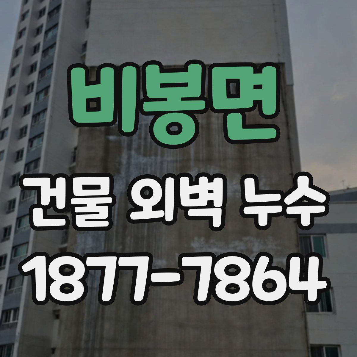 비봉면 건물 외벽 누수