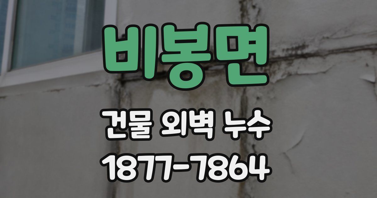 비봉면 건물 외벽 누수