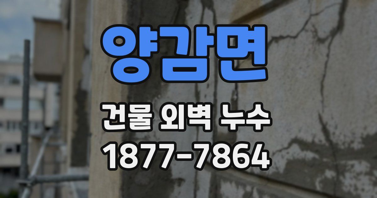 양감면 건물 외벽 누수