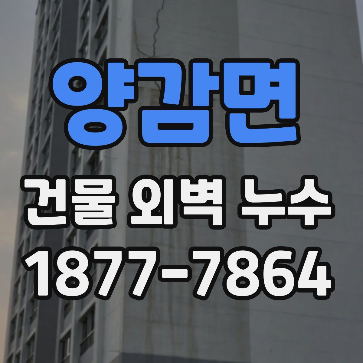 양감면 건물 외벽 누수