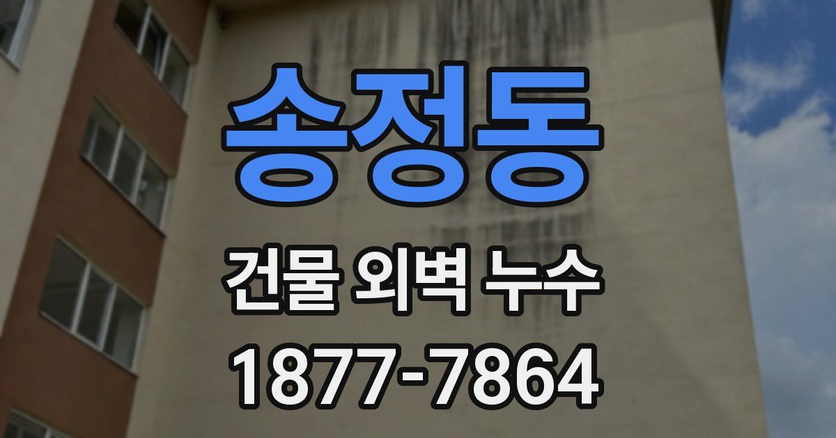 송정동 건물 외벽 누수