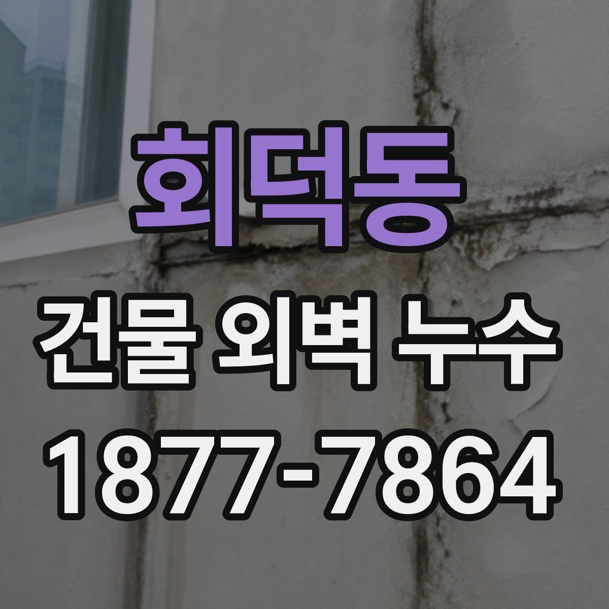 회덕동 건물 외벽 누수