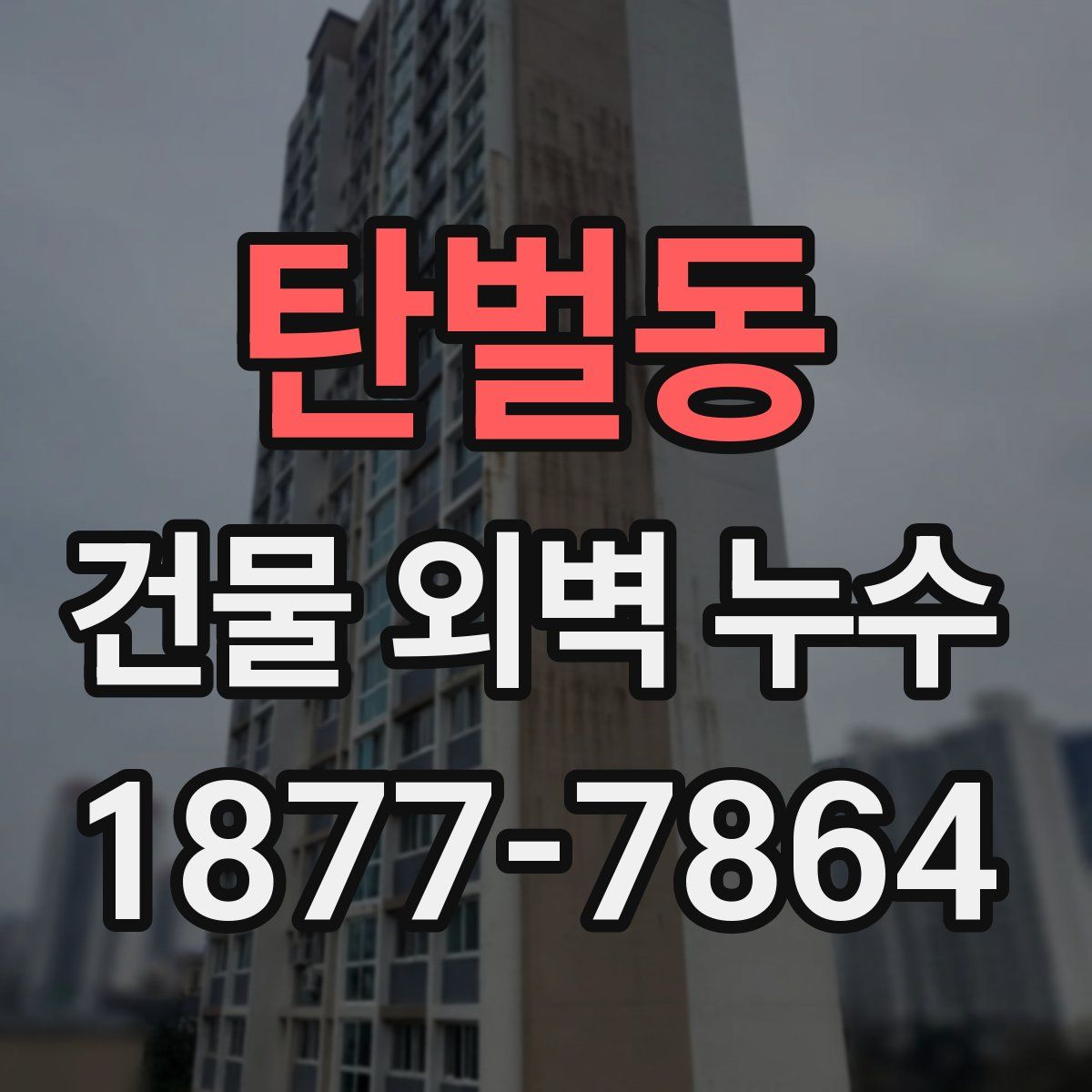 탄벌동 건물 외벽 누수