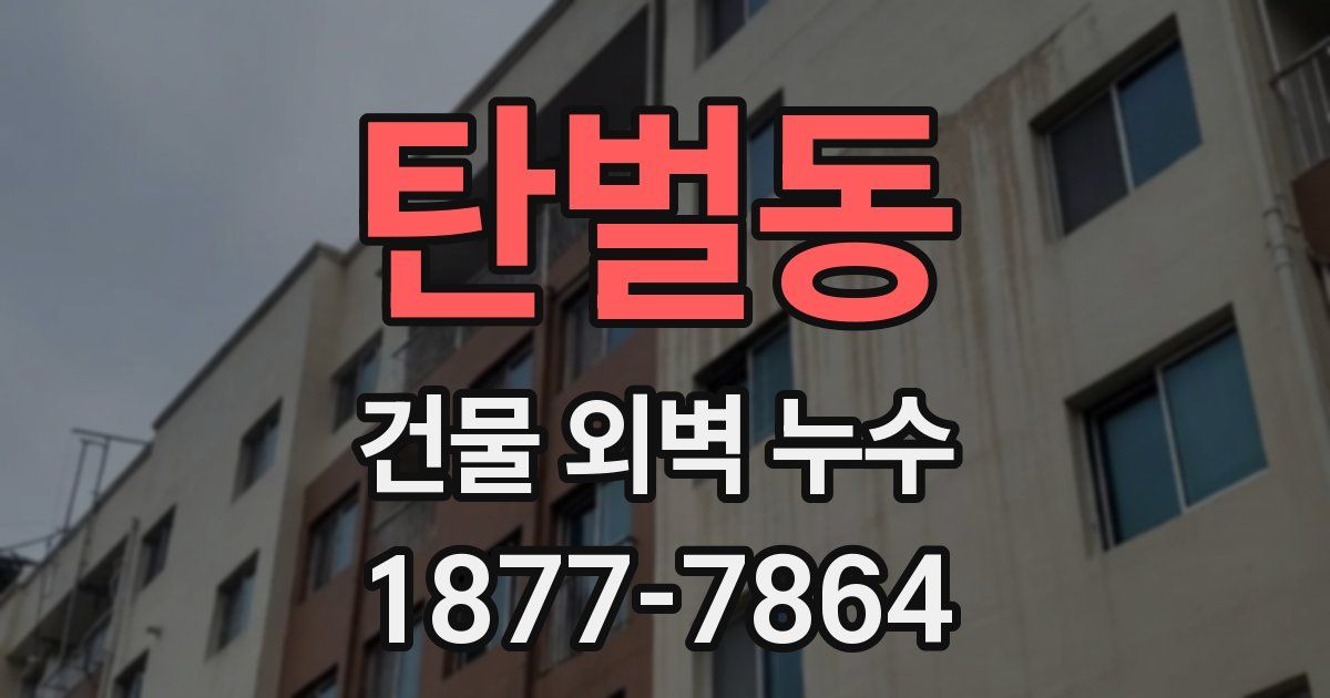 탄벌동 건물 외벽 누수