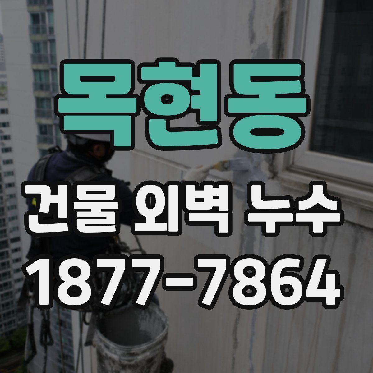 목현동 건물 외벽 누수