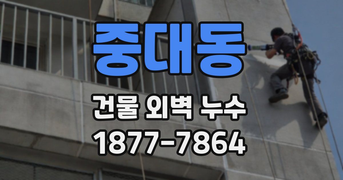 중대동 건물 외벽 누수
