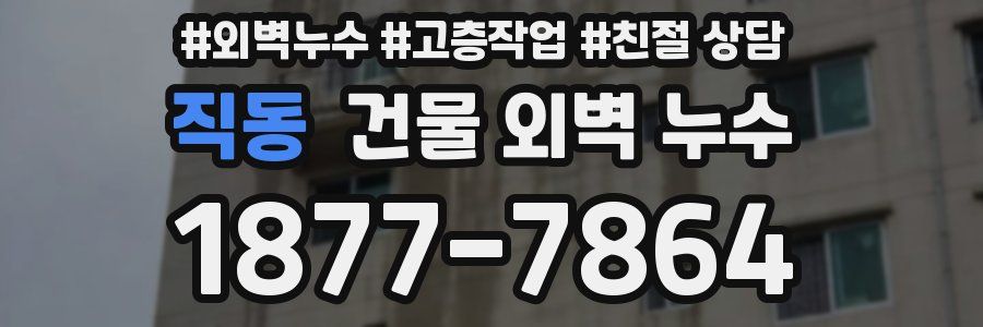 직동 건물 외벽 누수