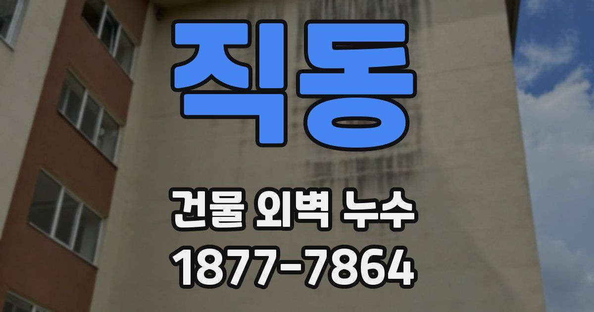 직동 건물 외벽 누수