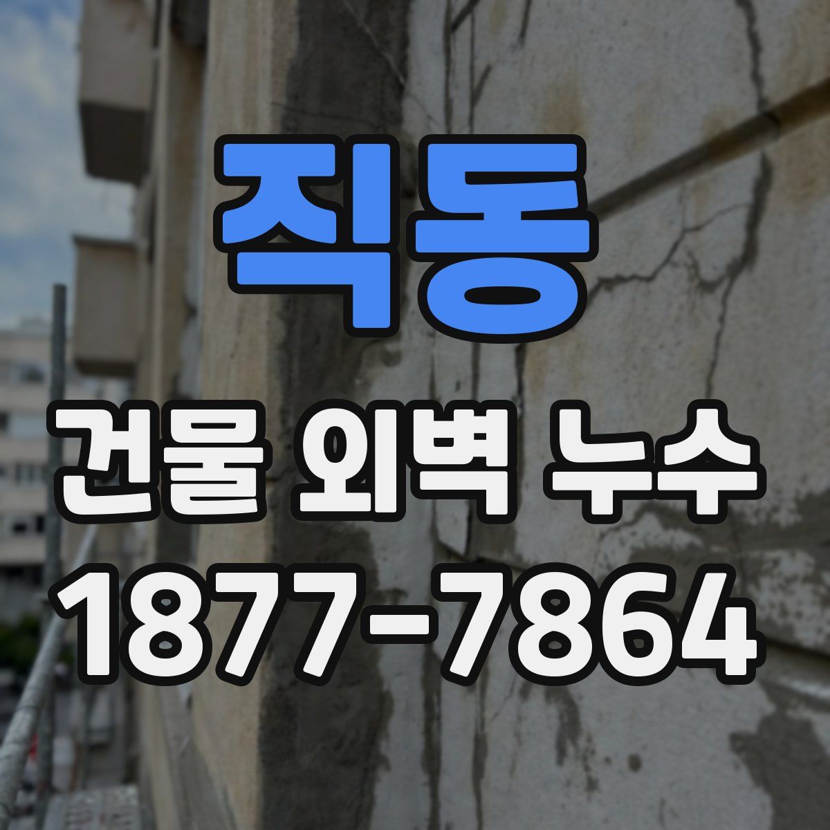 직동 건물 외벽 누수
