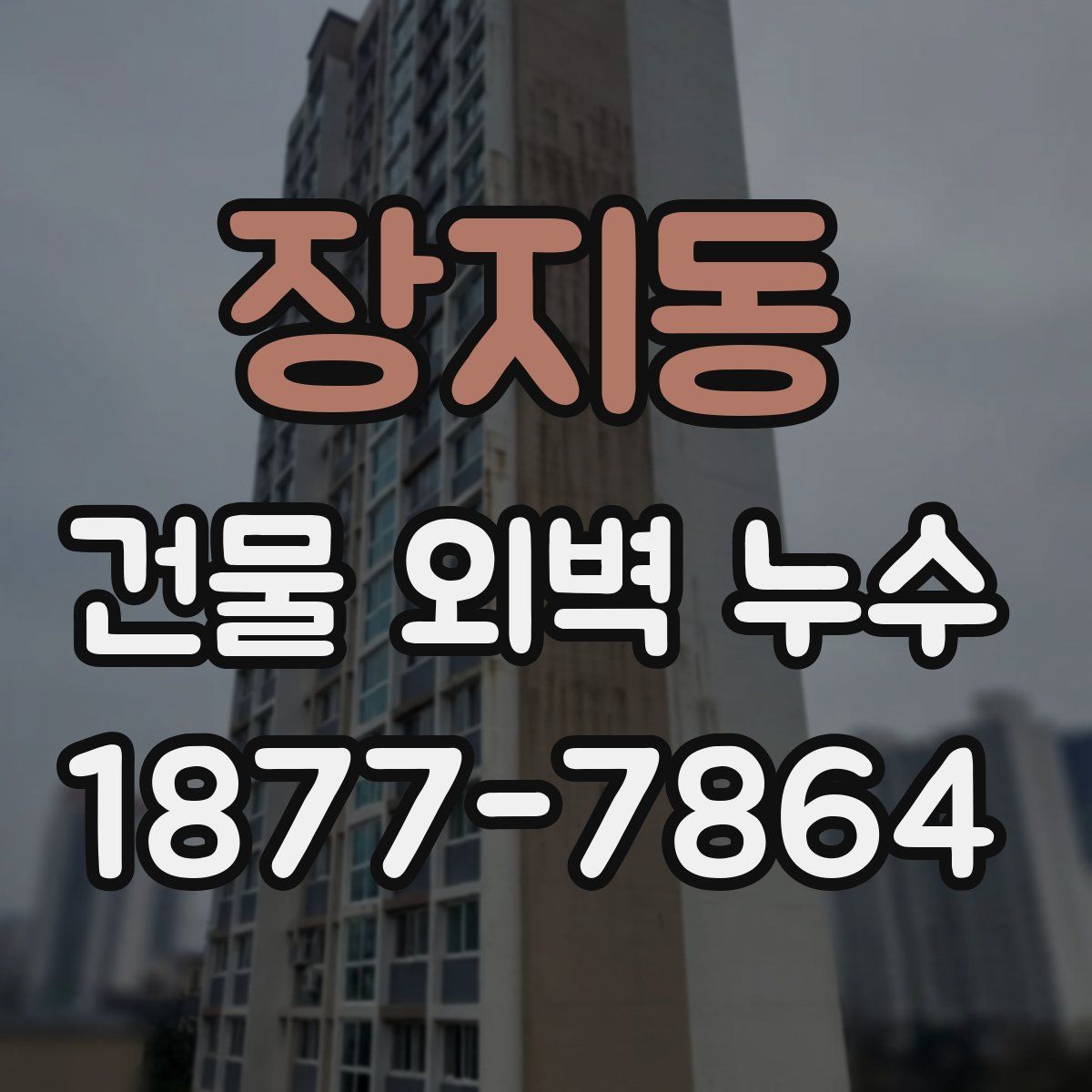 장지동 건물 외벽 누수