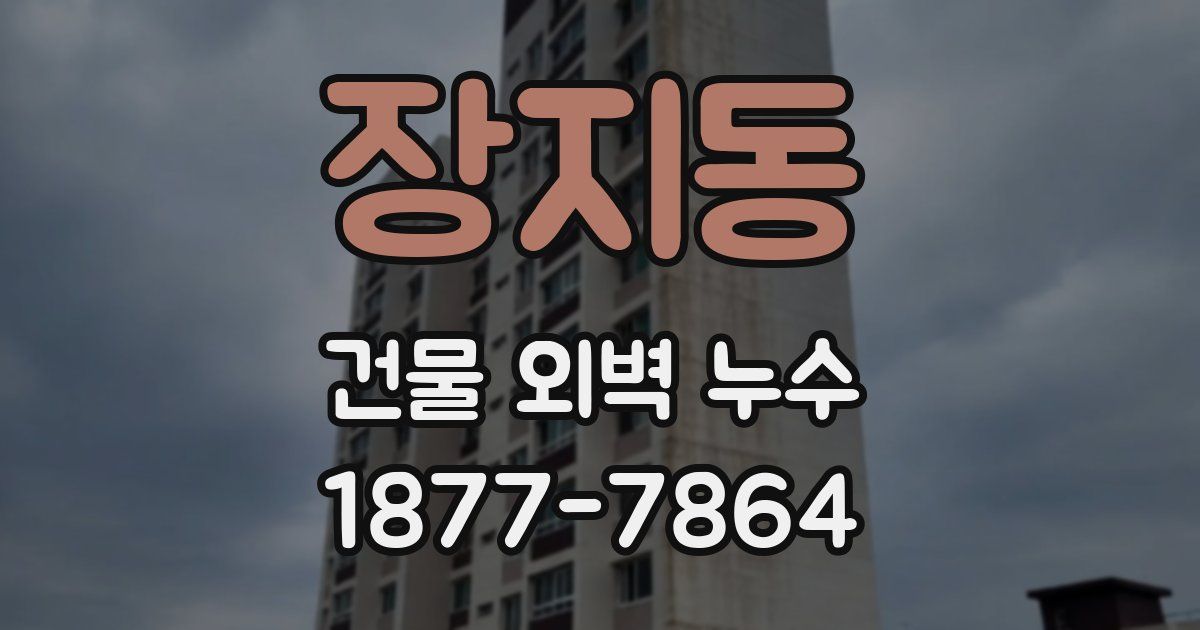 장지동 건물 외벽 누수