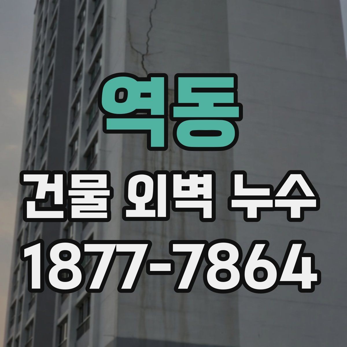 역동 건물 외벽 누수 점검으로 확인하는 방수 상태