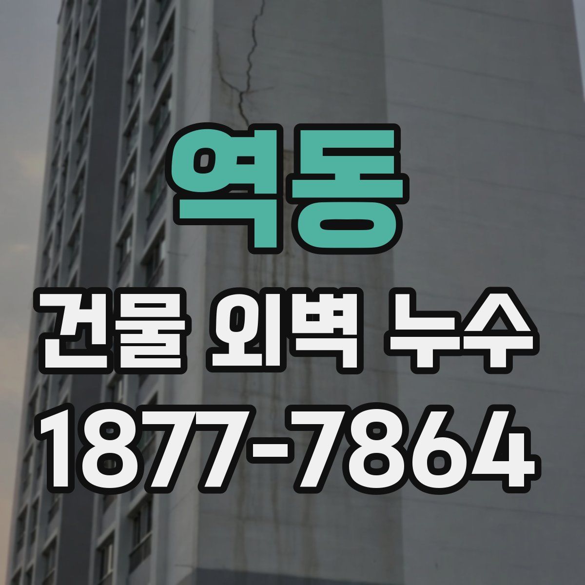 역동 건물 외벽 누수