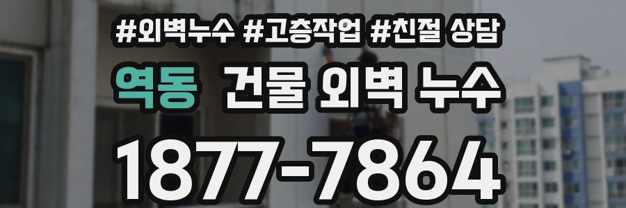역동 건물 외벽 누수