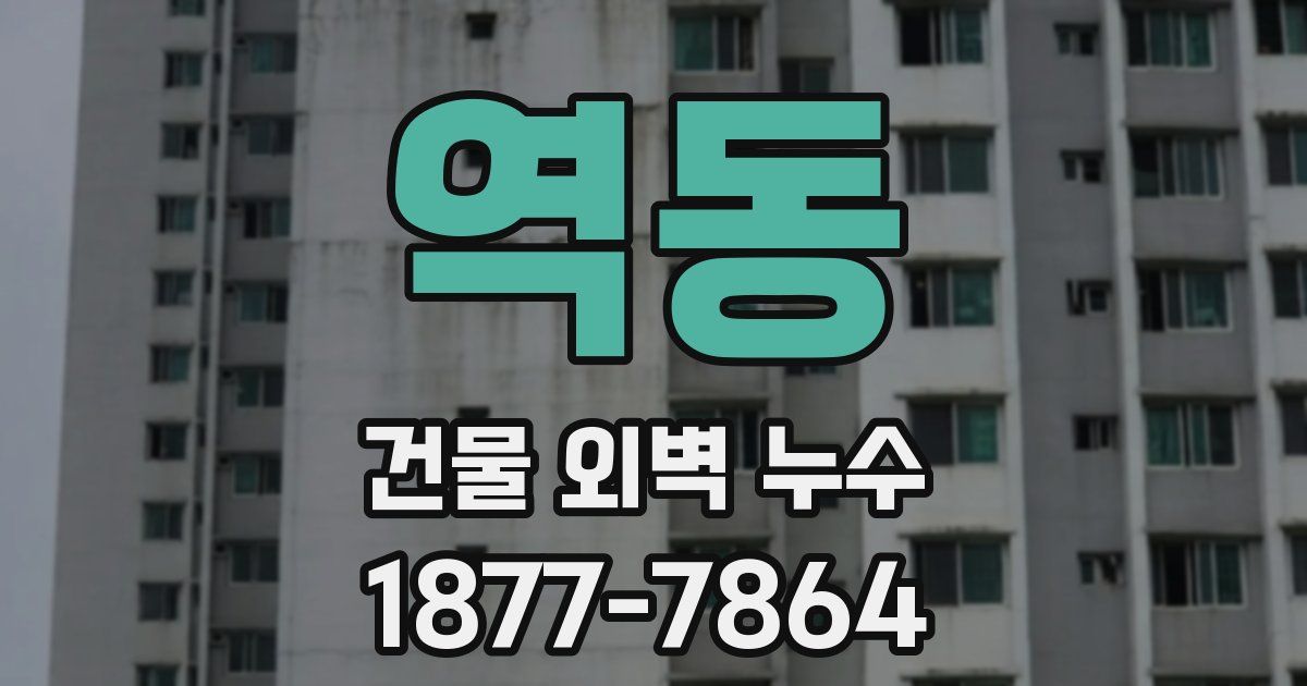 역동 건물 외벽 누수