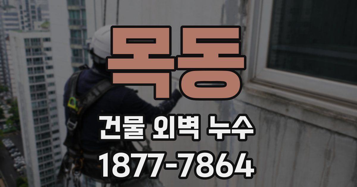 목동 건물 외벽 누수