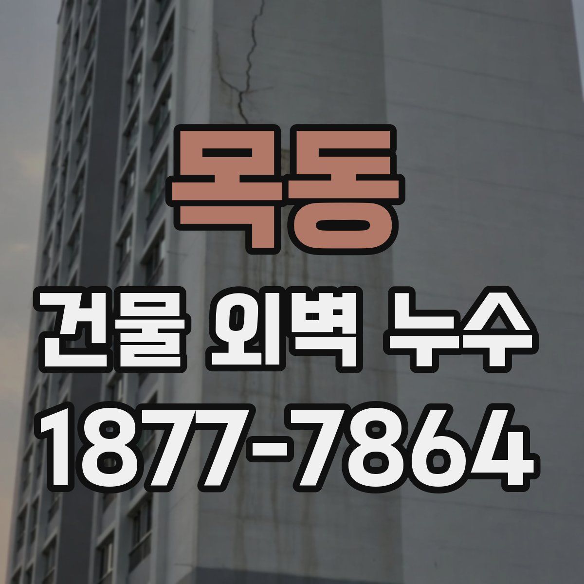 목동 건물 외벽 누수