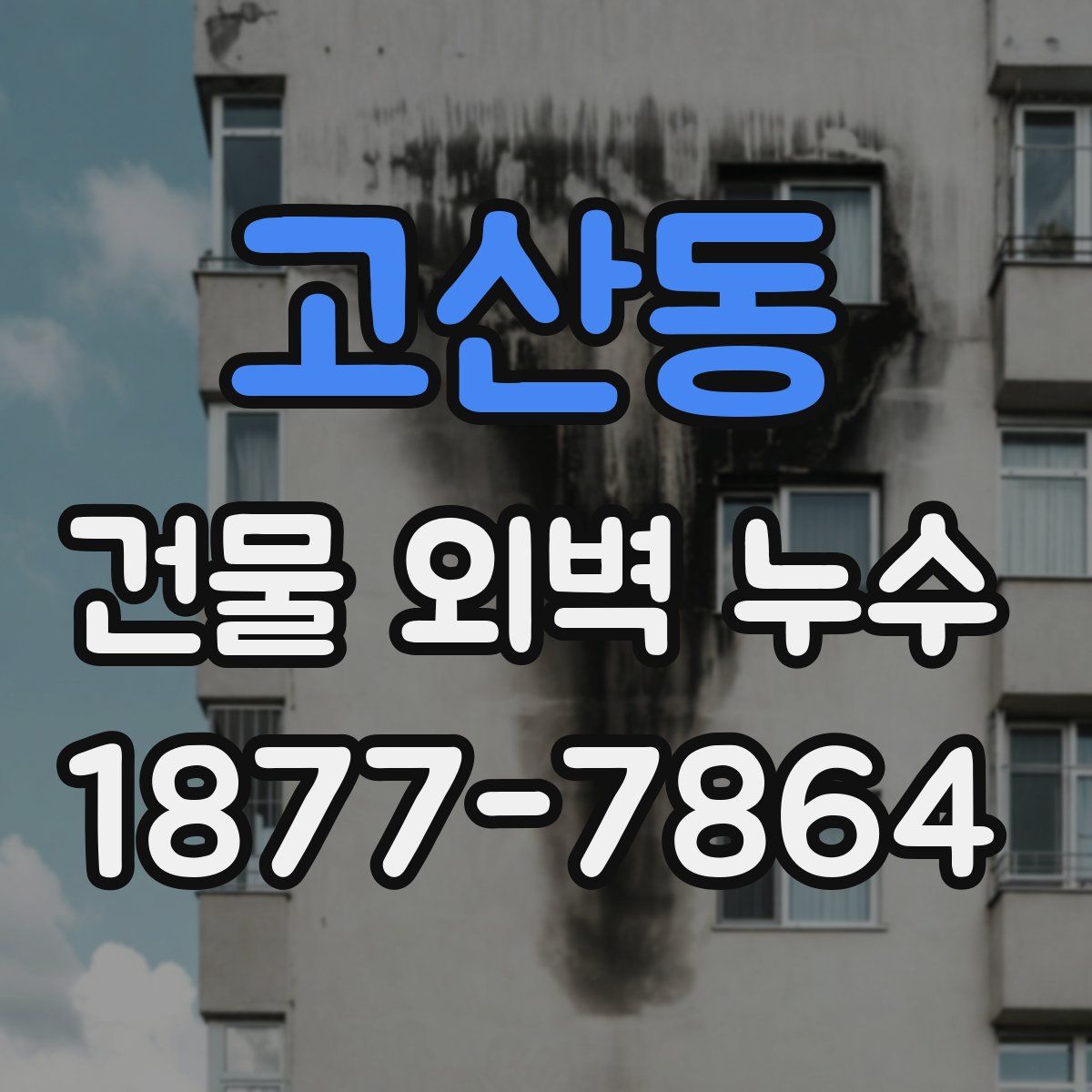 고산동 건물 외벽 누수