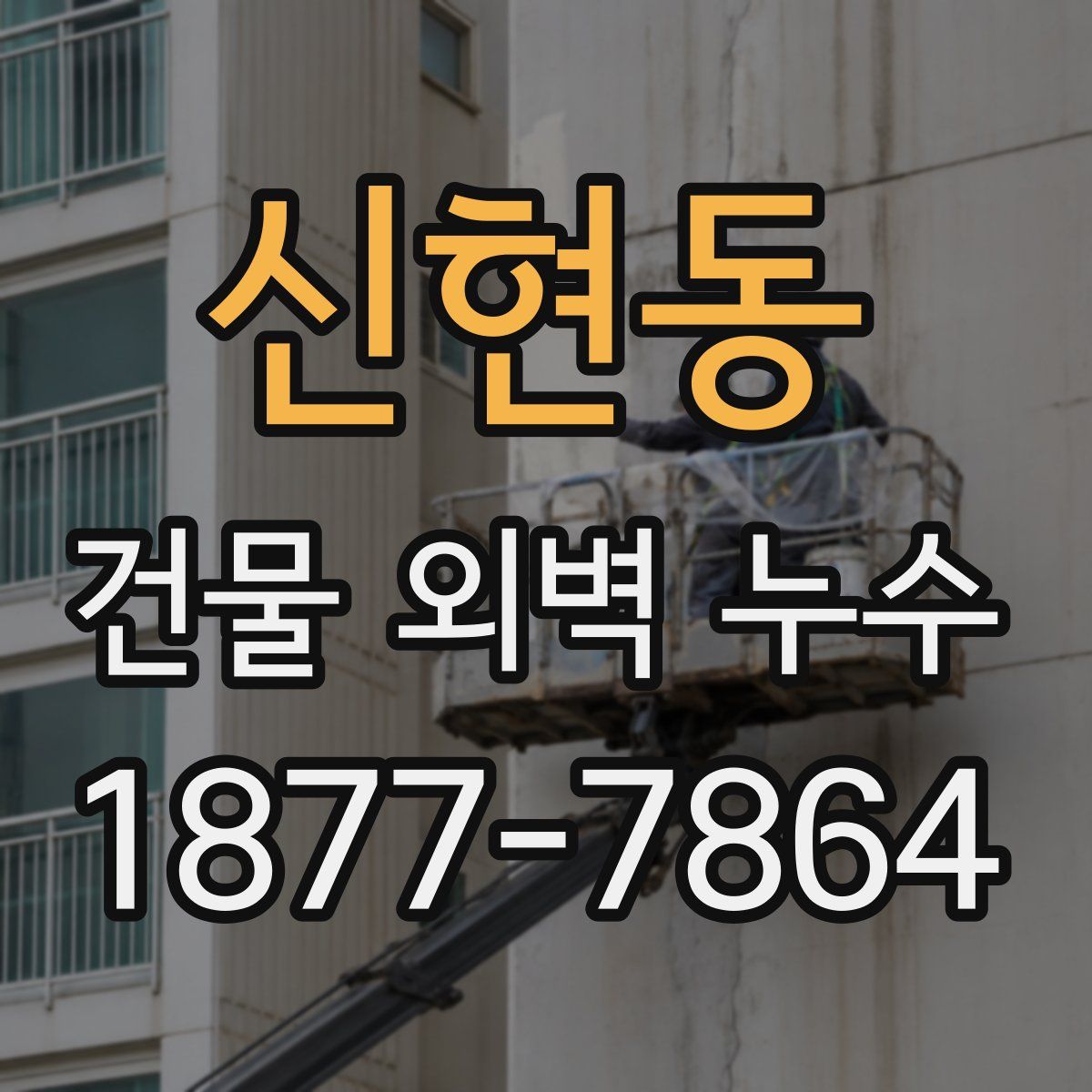 신현동 건물 외벽 누수