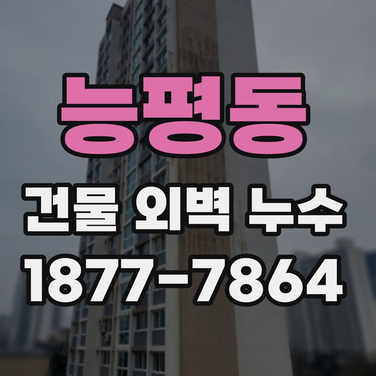 능평동 건물 외벽 누수