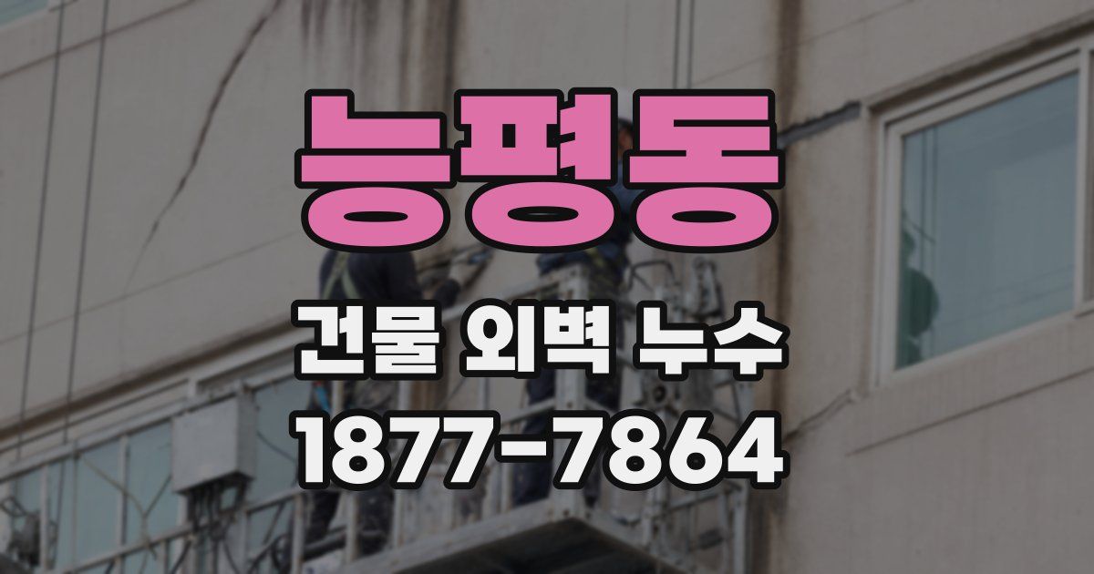 능평동 건물 외벽 누수