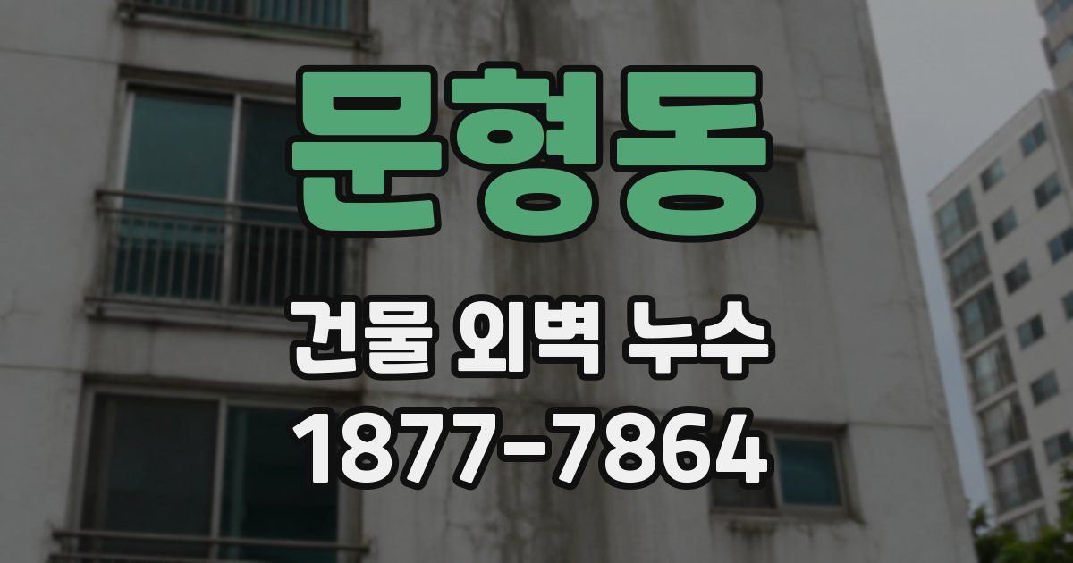 문형동 건물 외벽 누수