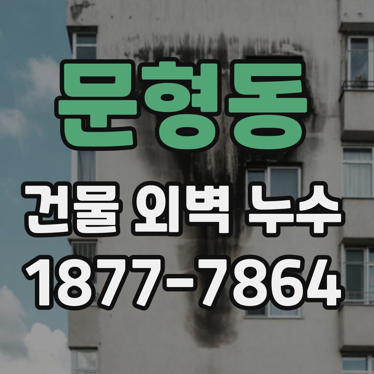 문형동 건물 외벽 누수
