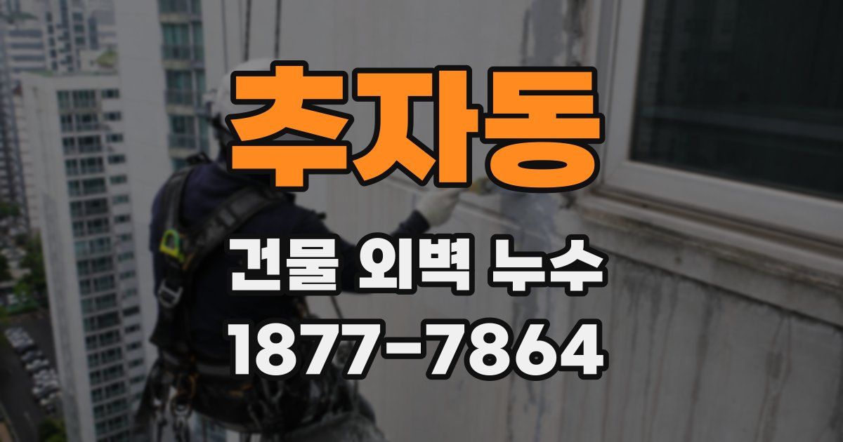 추자동 건물 외벽 누수