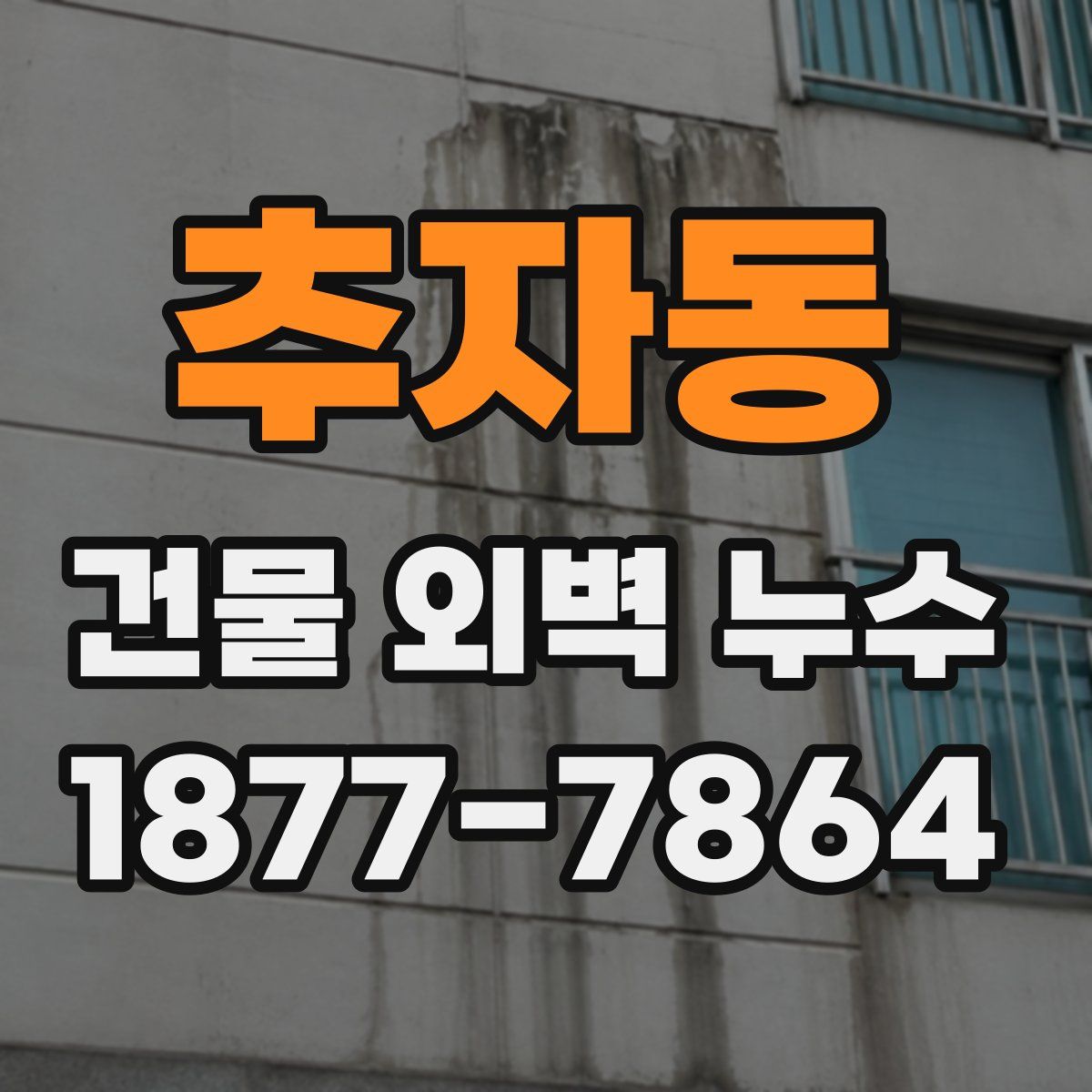 추자동 건물 외벽 누수