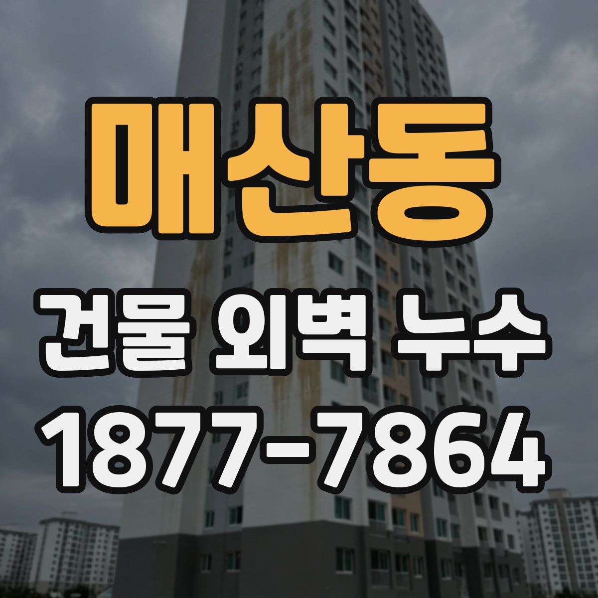 매산동 건물 외벽 누수
