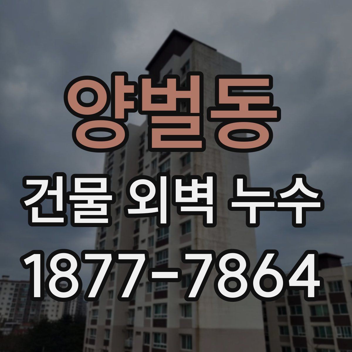 양벌동 건물 외벽 누수 배관 문제와 외벽 문제 구분