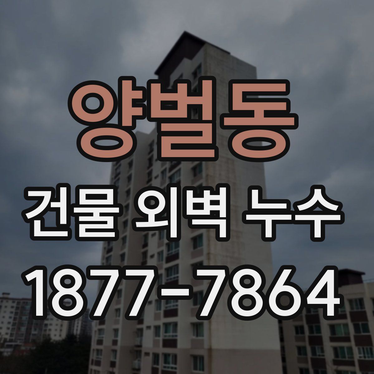양벌동 건물 외벽 누수