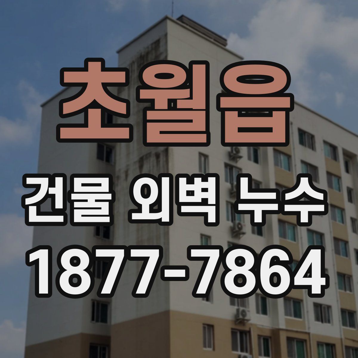 초월읍 건물 외벽 누수