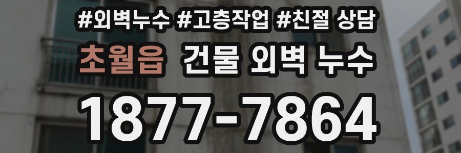 초월읍 건물 외벽 누수