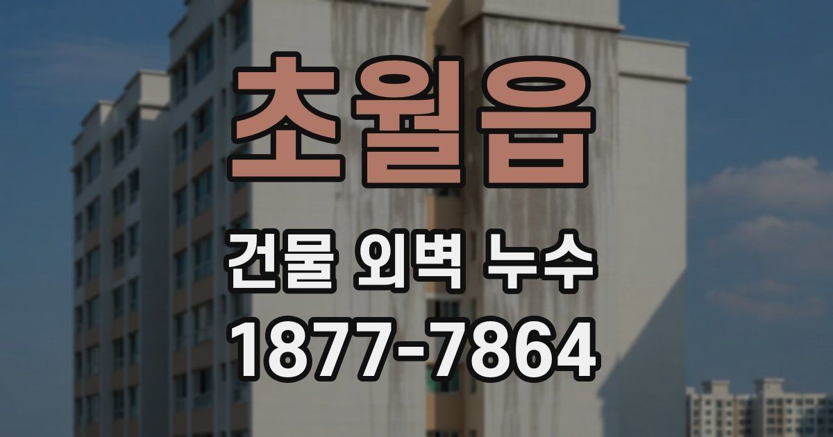 초월읍 건물 외벽 누수