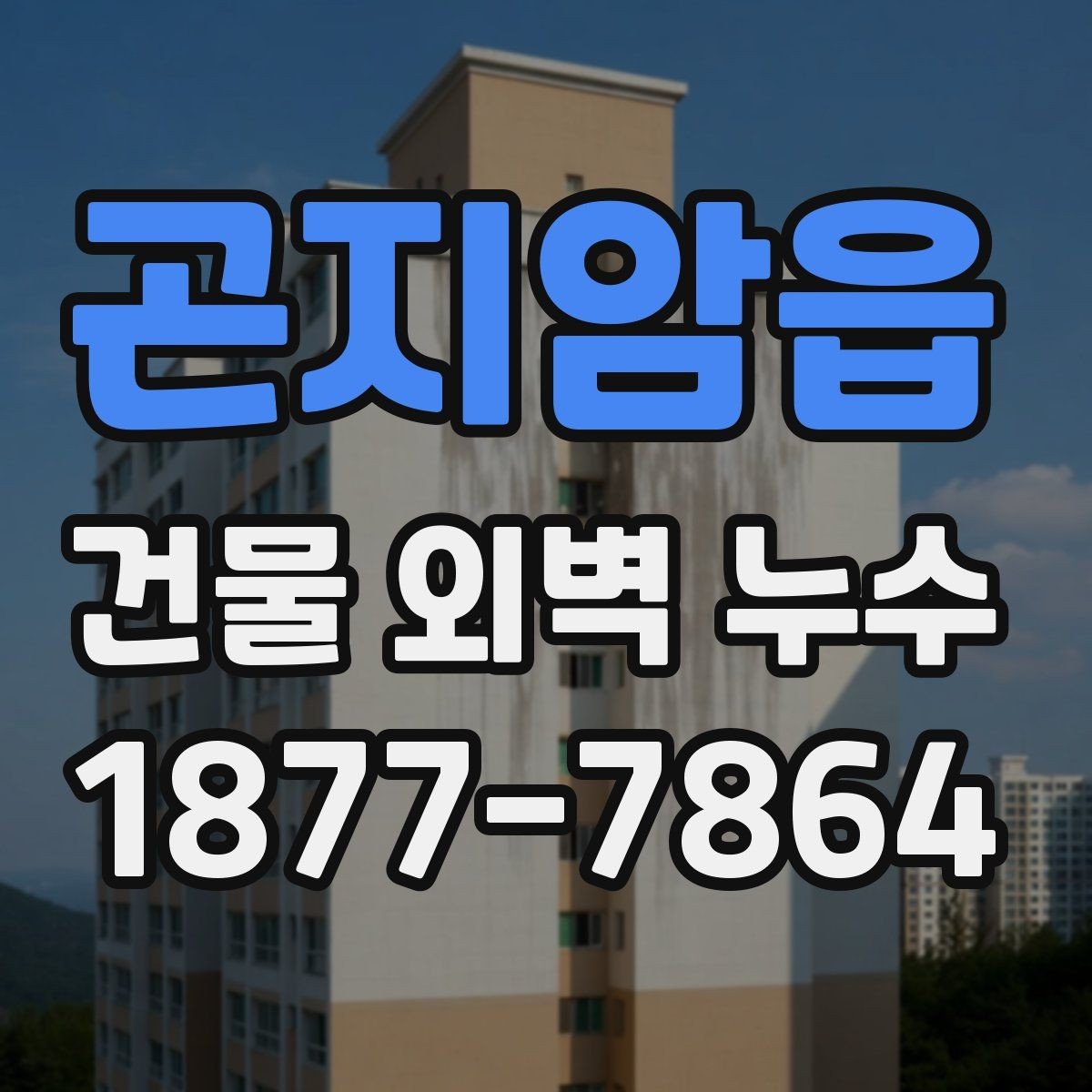 곤지암읍 건물 외벽 누수 공사 견적서에서 살필 항목