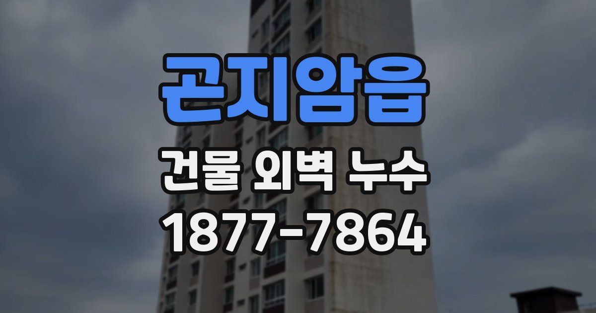 곤지암읍 건물 외벽 누수