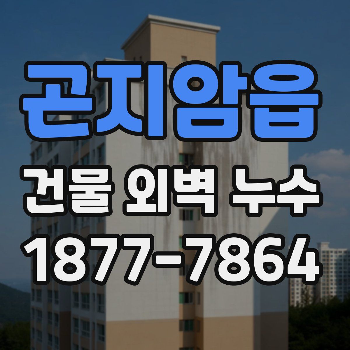 곤지암읍 건물 외벽 누수
