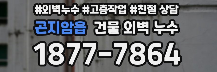 곤지암읍 건물 외벽 누수