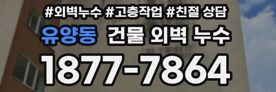 유양동 건물 외벽 누수