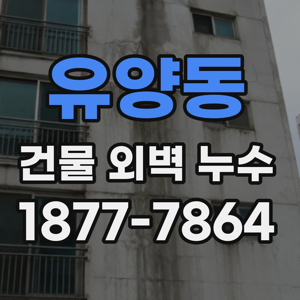 유양동 건물 외벽 누수