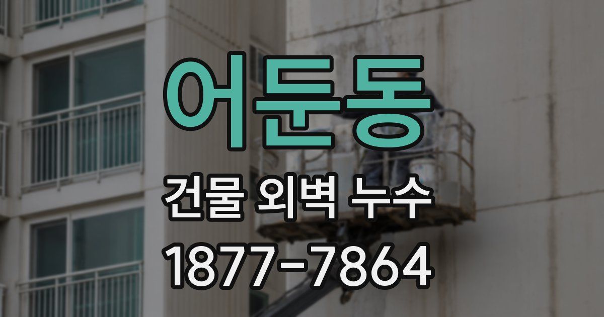 어둔동 건물 외벽 누수