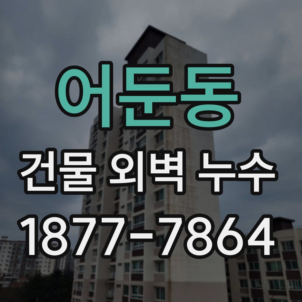 어둔동 건물 외벽 누수