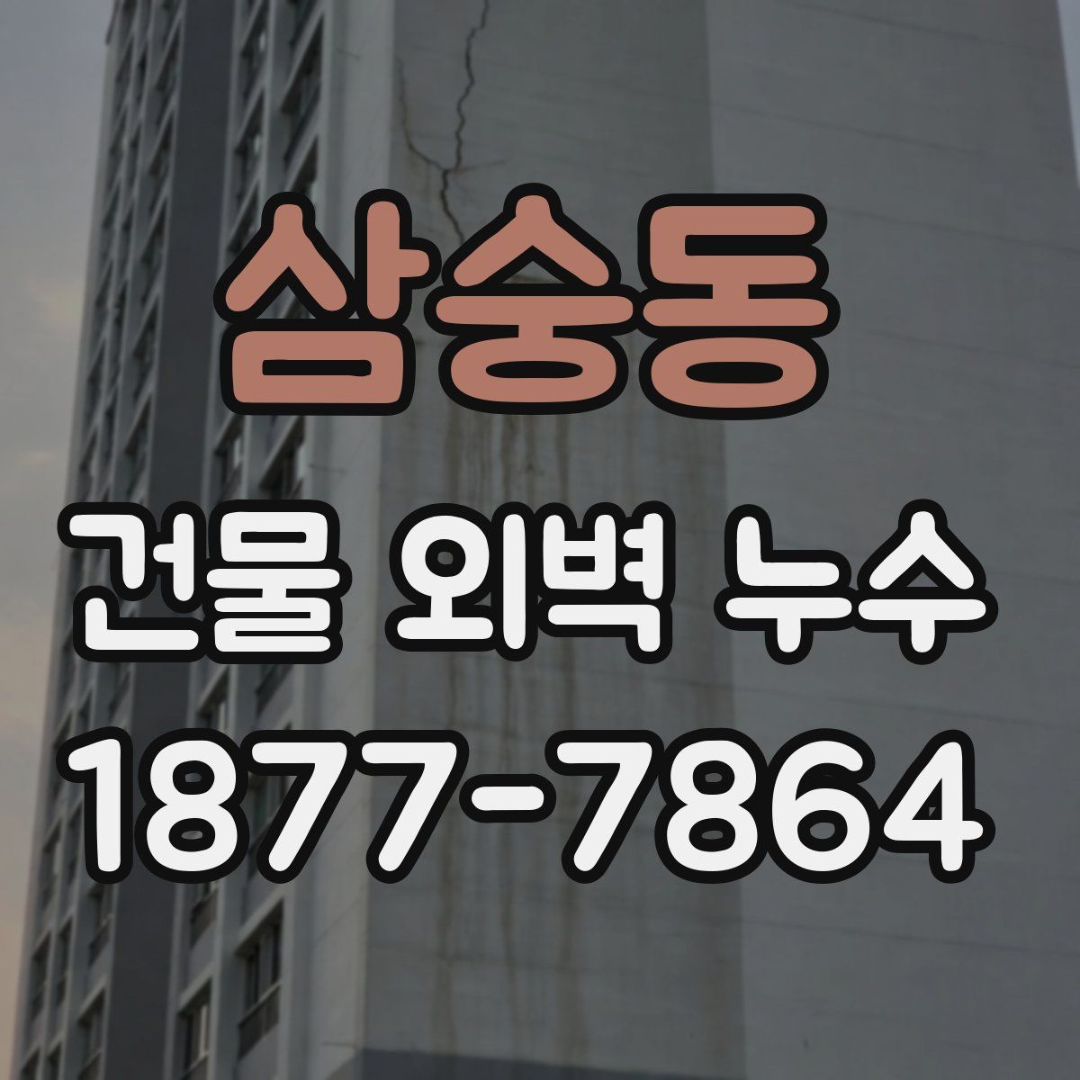 삼숭동 건물 외벽 누수