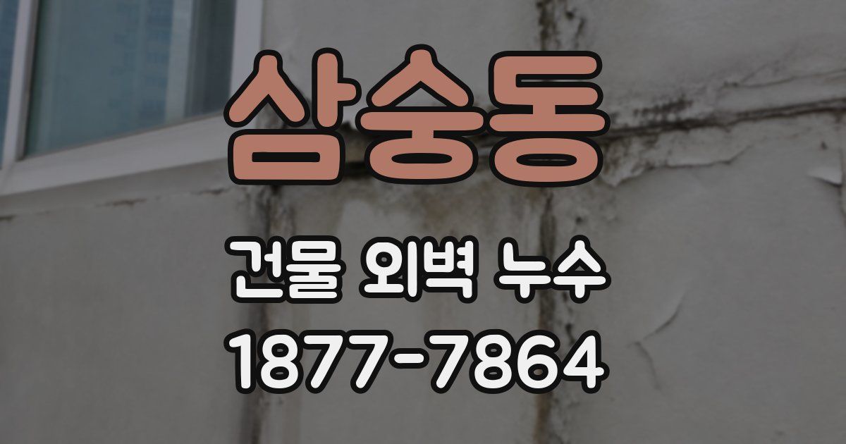 삼숭동 건물 외벽 누수