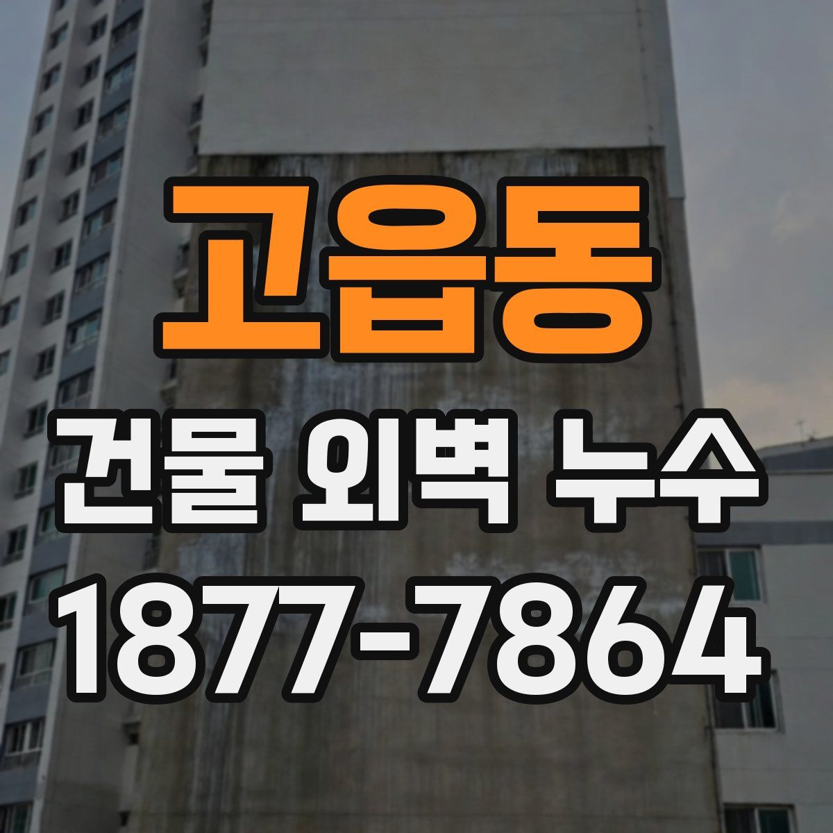 고읍동 건물 외벽 누수