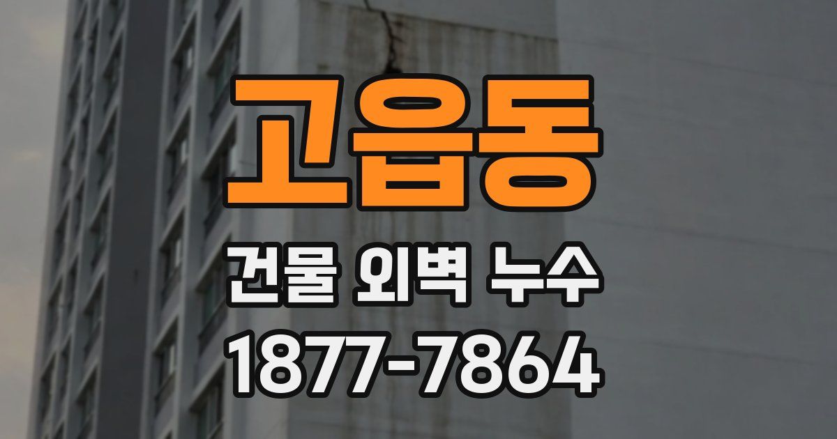 고읍동 건물 외벽 누수