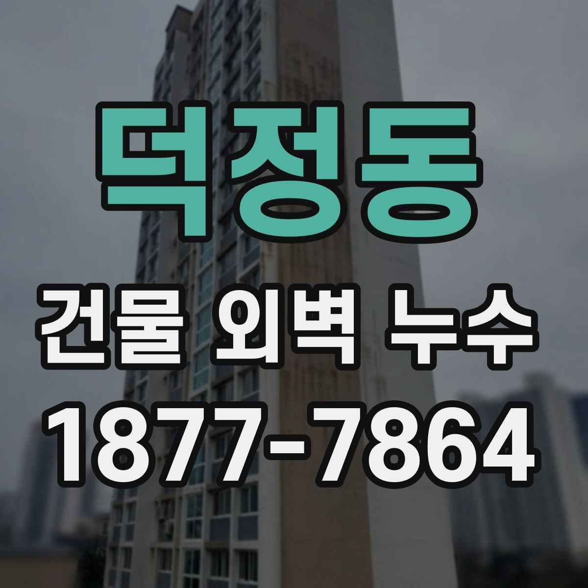덕정동 건물 외벽 누수